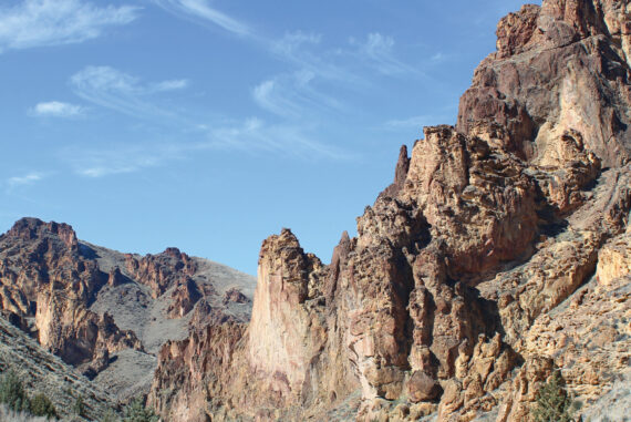 Volcanic rock and wildlife are the towering themes in Eastern Oregon's Leslie Gulch.