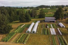 Ōkta, a new star in McMinnville’s dining scene, has its own farm nearby.