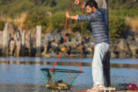 With a shellfish license, anyone can take to crabbing off of docks, such as this one in Bandon.