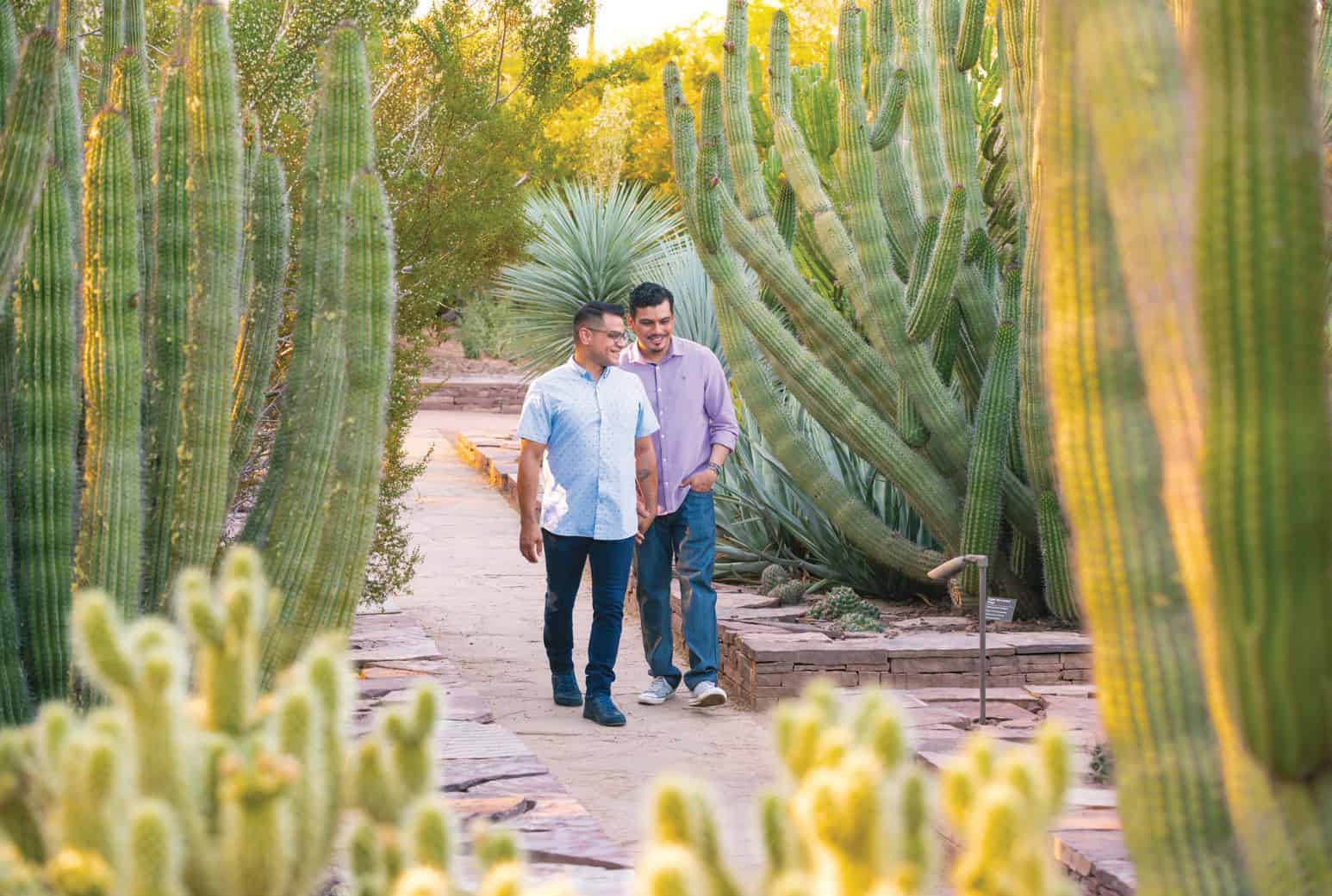 The Desert Botanical Garden encompasses 140 acres and thousands of plants.