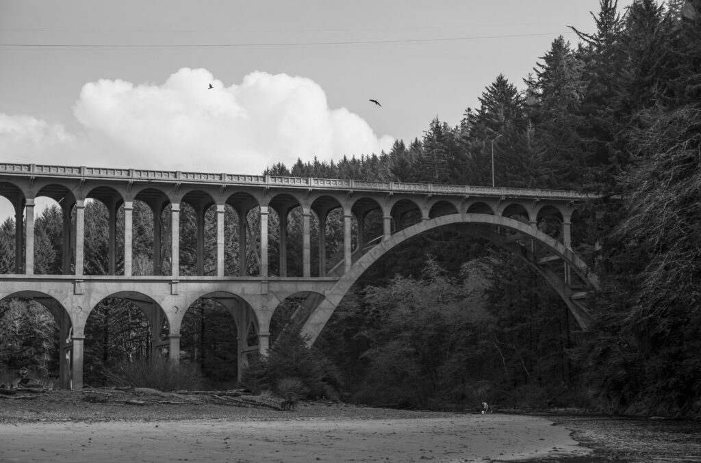 Perhaps the most distinguished bridge along the Oregon Coast, the aqueduct-like Cape Creek Bridge pays homage to millennia of bridge design.