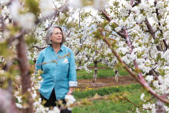 Hood River Cherry Company owner Katy Klein finds a quiet moment in her Rainier cherry grove.
