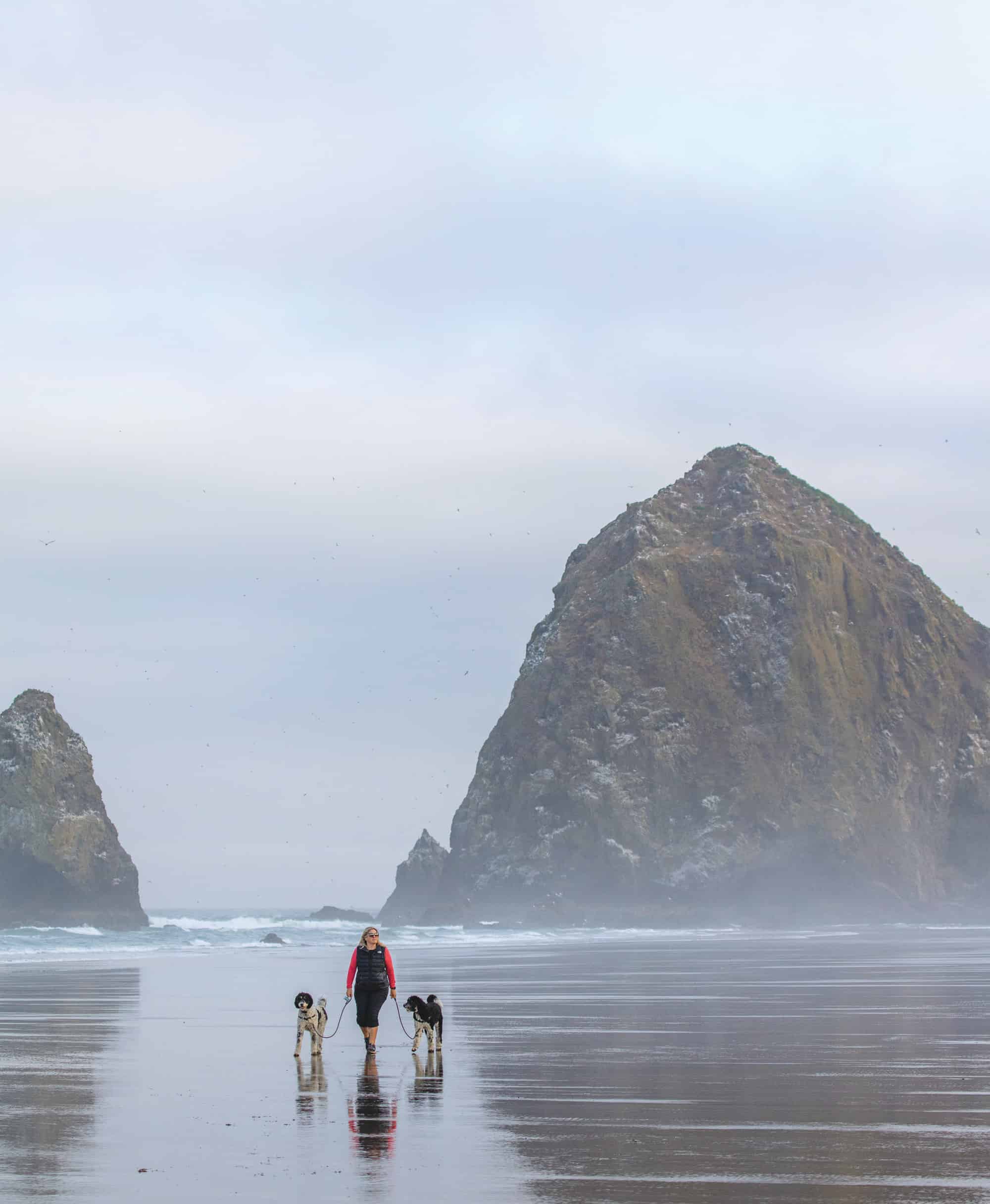 If your breed loves water, head to the Oregon Coast and Cannon Beach for a win-win.