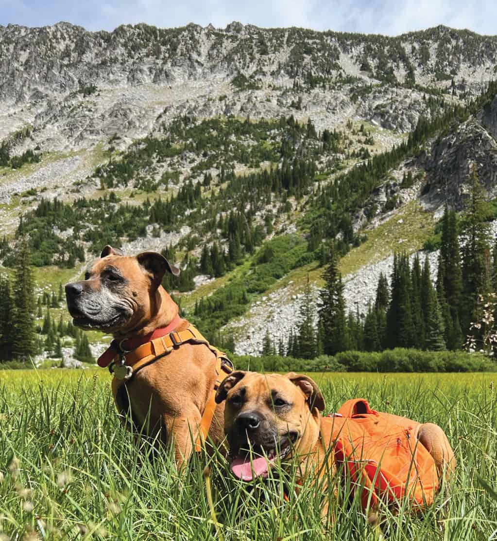 A push into Eagle Cap Wilderness is on every dog’s bucket list.