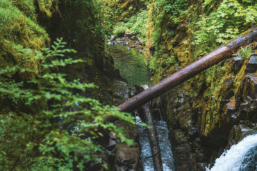 Sol Duc Falls is one of the most photographed spots in the Olympic Peninsula.