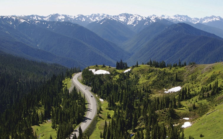 Hurricane Ridge is a scenic point from which many trails lead.