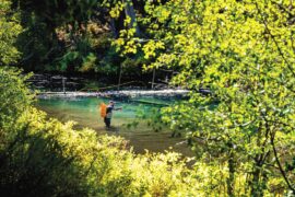 The Wild and Scenic Metolius River is one of the area’s top attractions, especially for those who fly-fish.