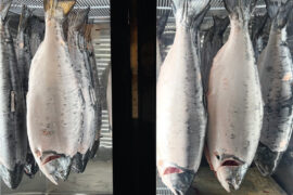 Aji Fish Butchery