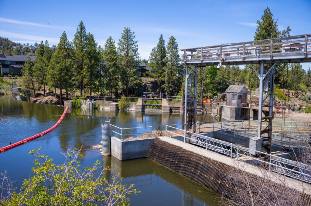 Water diverted  from the Deschutes River at the North Canal dam heads as far away as Madras, supplying irrigation districts throughout the basin.