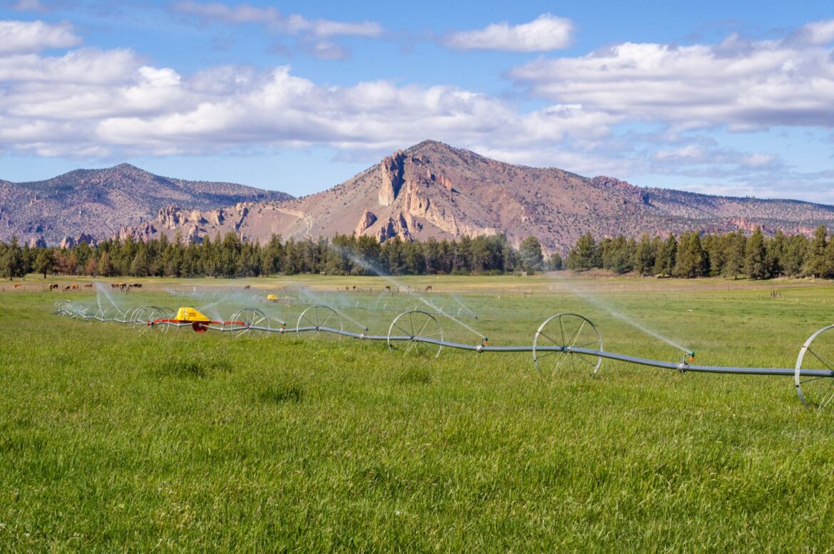 Agriculture and ranching in Central Oregon owe their existence to water from rivers like the Deschutes and Crooked.