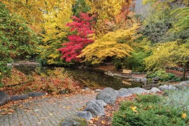 Beautiful fall colors in Oregon&rsquo;s parks, vibrant leaves, serene pond, and peaceful nature scene in Portland, Oregon.