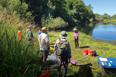 Curry Watersheds hosts an aquatic weeds workshop for natural resource professionals in the Rogue River estuary.