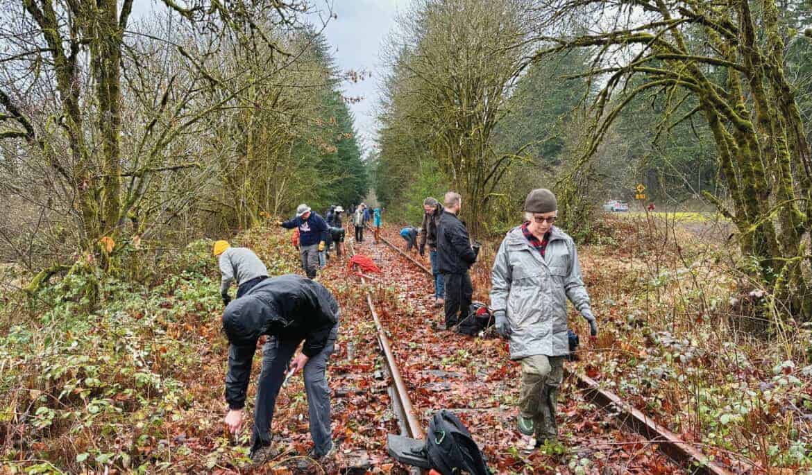 People working on the Salmonberry Trail restoration in a forested area, installing or repairing railway tracks as part of the Oregon trail development.