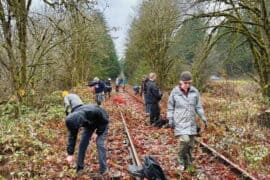 People working on the Salmonberry Trail restoration in a forested area, installing or repairing railway tracks as part of the Oregon trail development.